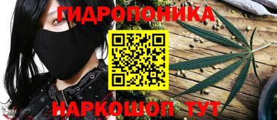 крисы Бугуруслан
